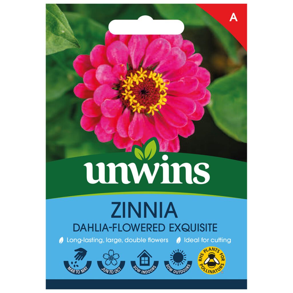 Unwins Zinnia Dahlia Flowered Exquisite Seeds 5051618027335 2